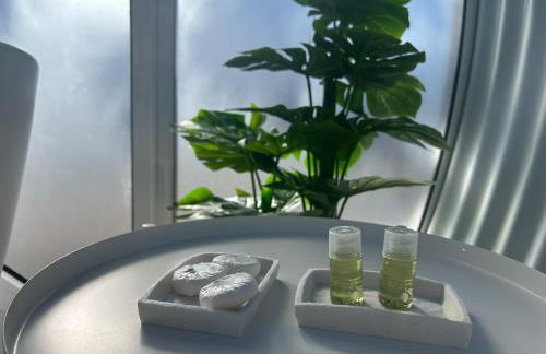 SKD Casa Amarilla Suite Rivera - Photo 10