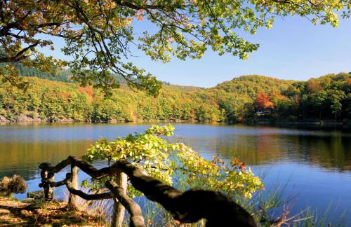 Ferienwohnung Eifel-Life - Photo 28