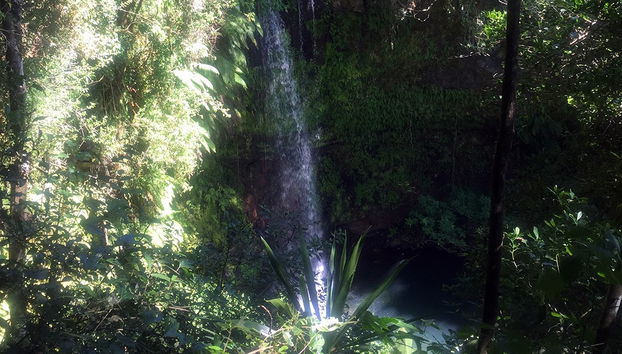 Parque nacional de la Montaña de Ámbar - Foto 2