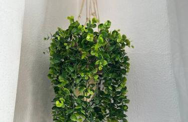 Studio 330 - aconchegante, 500m da Feirinha do Alto, com Garagem e Wi-Fi 500MB - Foto 23