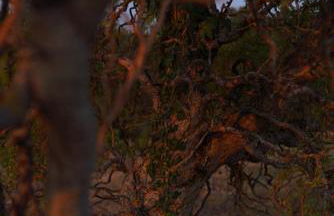 Logement entier de charme, gite équestre GERS Flamarens - Photo 38