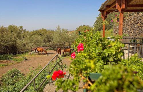 HORSE HOUSE - Foto 10