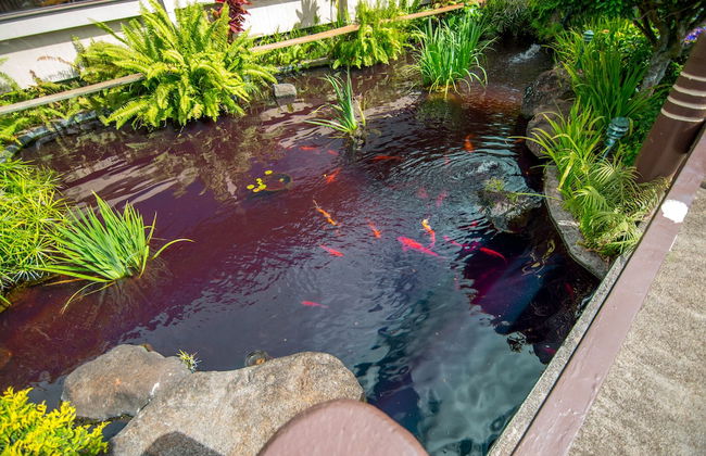 Napili Shores Maui by OUTRIGGER - Foto 54