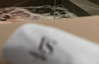 VS LUXURY SUITE with SPA - Foto 28