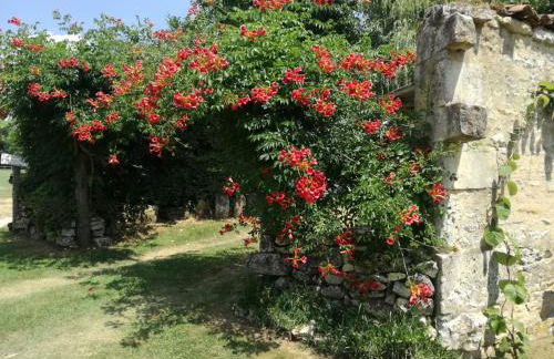 le gite des 3 saules - Foto 51