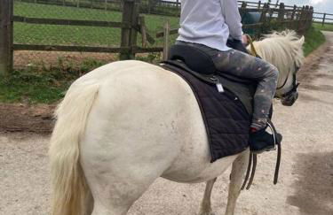 Ruby's Retreat! Farm Stay! North devon! Sleeps 6! Beaches Exmoor! - Foto 61