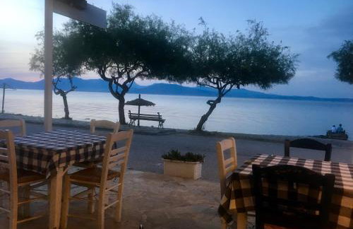 Eratous Seaside House - Foto 32