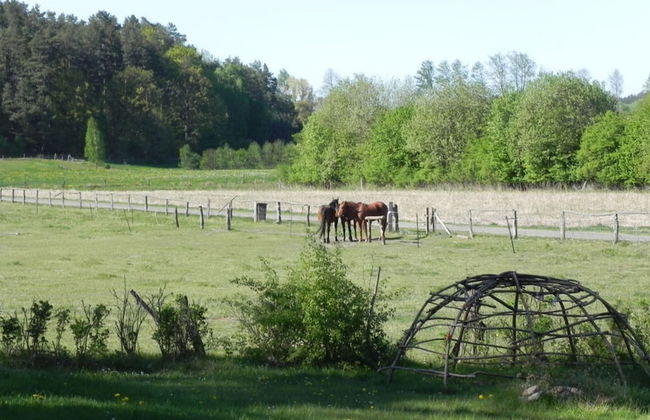 Nice Apartment in Gohrde - Foto 8