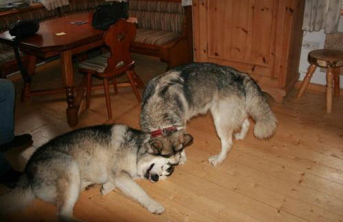 Ferienhaus Winter - Foto 19