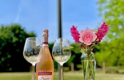 Le Figuier - 4 bedroom Farmhouse Gite - Foto 13