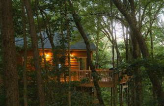 Cheerful Two Bdrm Cabin with Hot Tub & Pet Friendly - Foto 39
