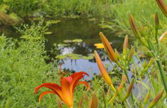 An der Hainmühle - Foto 30