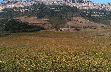 Agréable Location au coeur du vignoble DOMINICI THERESE - Foto 1