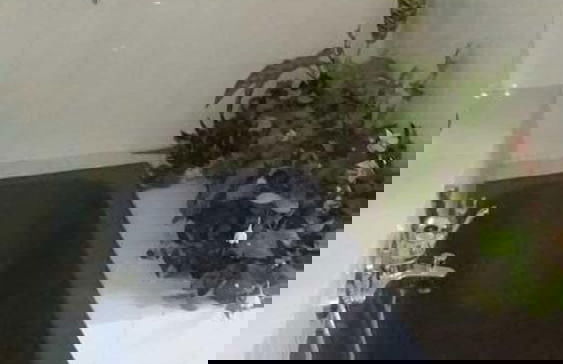 Spacious House - Foto 26