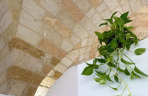 Leopardi B&B Brindisi Historic Center - Foto 17