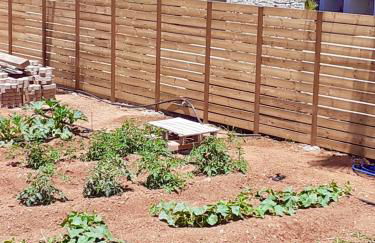 Mare Beach Villa - Photo 28