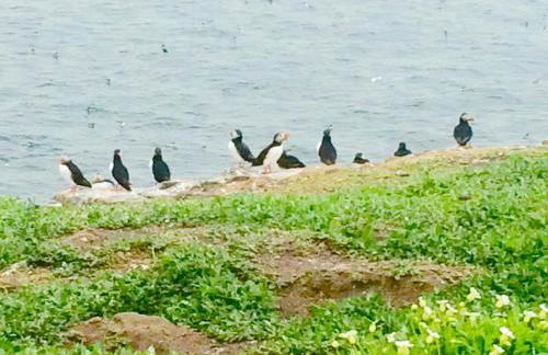 Detached Cosy Cottage in Wooler, Northumberland - Photo 12