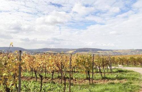 moselquartier terlinden- Apartment - Foto 6