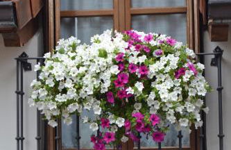 Apartamentos La Buhardilla - Photo 1