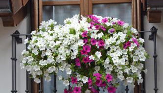 Apartamentos La Buhardilla - Photo 1