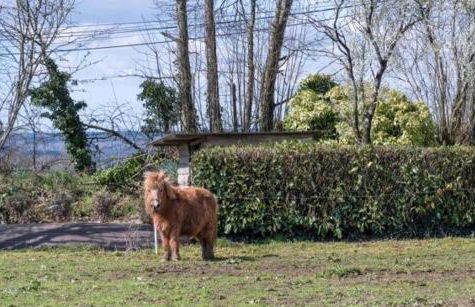 Espace Acu-Nature - Foto 92