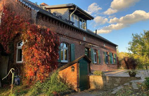 Elbferienhaus an der Elbe - Foto 5