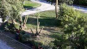 Casa Vacanze nel Verde a 5 Km dal mare - Foto 2, Garden, Garden view