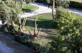 Casa Vacanze nel Verde a 5 Km dal mare - Foto 2