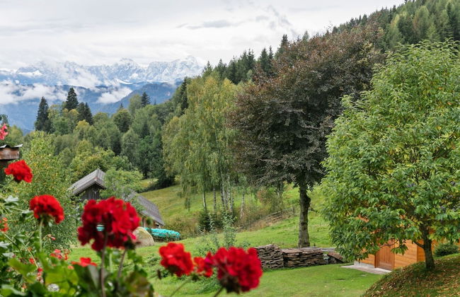 Chalet in Arriach Near Gerlitzen Ski Area - Foto 35