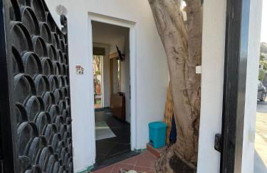 Smeraldino - Foto 19