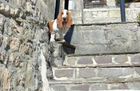 IL CAMINETTO - Foto 10