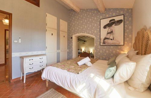 Charme provençal Les amandiers piscine et animaux - Foto 33