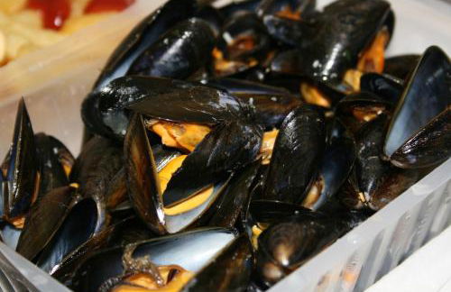 Gites Ferme de la Baie - Foto 74