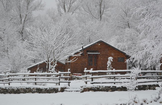 Farma Sotira - Foto 65