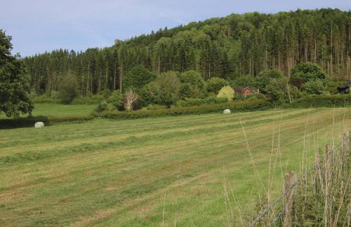 Callow Cottage - Foto 31