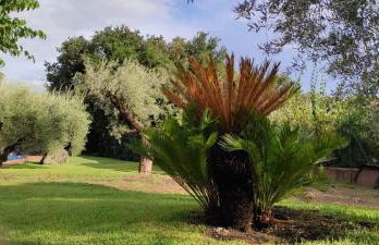 Villa Hephaestus Etna - with private pool - Foto 7