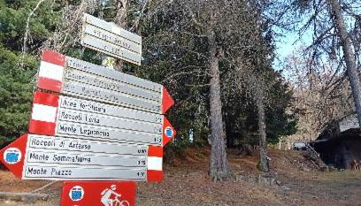 il larice d' oro - Foto 4