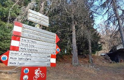 il larice d' oro - Foto 4