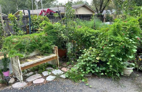 Gingerbird Art Suite - Foto 22