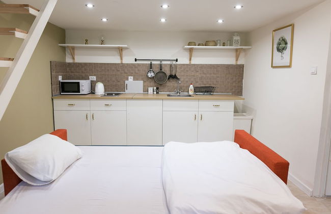 Sparkling Ernesto II - Foto 4