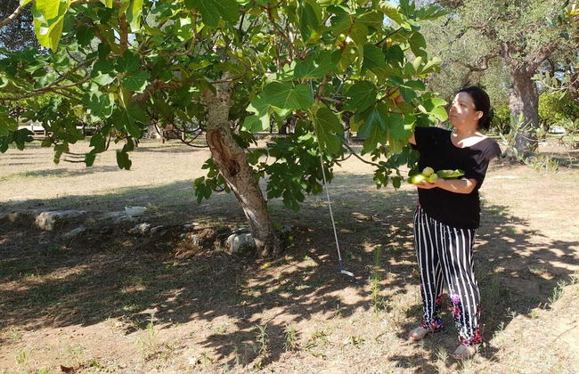 Agriturismo Villa Coluccia - Foto 26