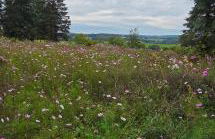 Panorama trifft Gemütlichkeit - Foto 23