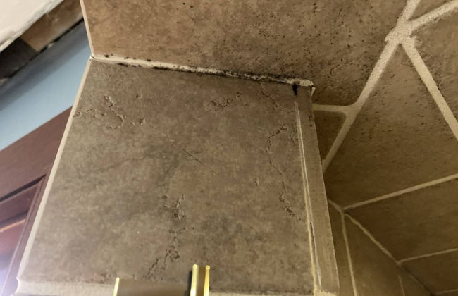 Rockmere Inn - Foto 46