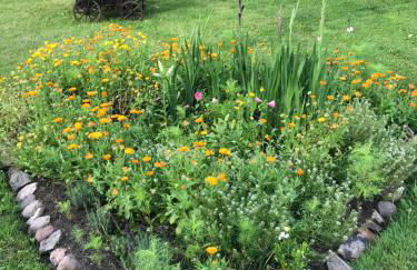 Hering FeWo I Apartment Terrace - Foto 34