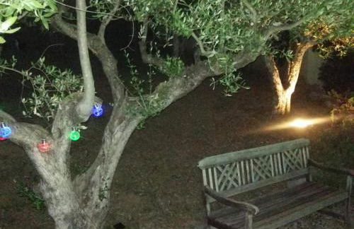 Mas Christiane - Foto 34