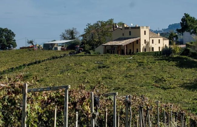 Masseria Ciavolich - Foto 48