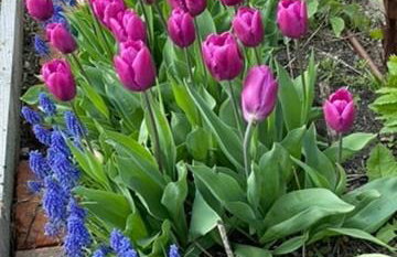 Chata Jakimówka - Foto 23