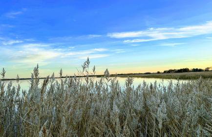 Ferienhaus Boddenblick Klausdorf Am Nationalpark - Foto 27