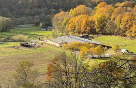 Ferienapartments Reitanlage Schenksolz - Photo 12