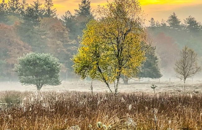 Cozy Holiday Home in a Lovely Environment - Photo 15